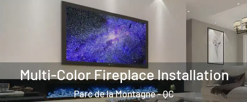  Multi-Color Fireplace Installation Parc de la Montagne - QC