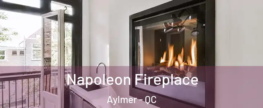  Napoleon Fireplace Aylmer - QC