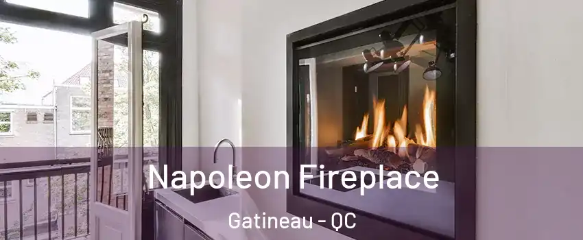 Napoleon Fireplace Gatineau - QC