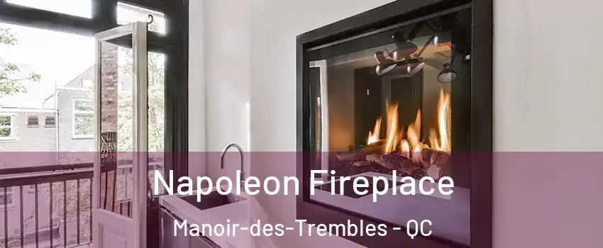  Napoleon Fireplace Manoir-des-Trembles - QC