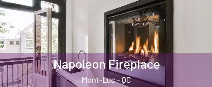  Napoleon Fireplace Mont-Luc - QC