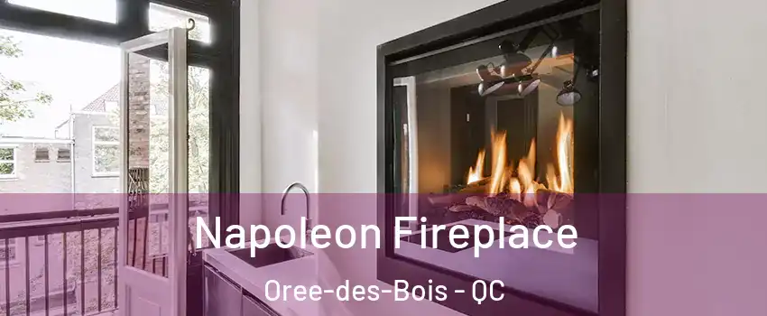  Napoleon Fireplace Oree-des-Bois - QC