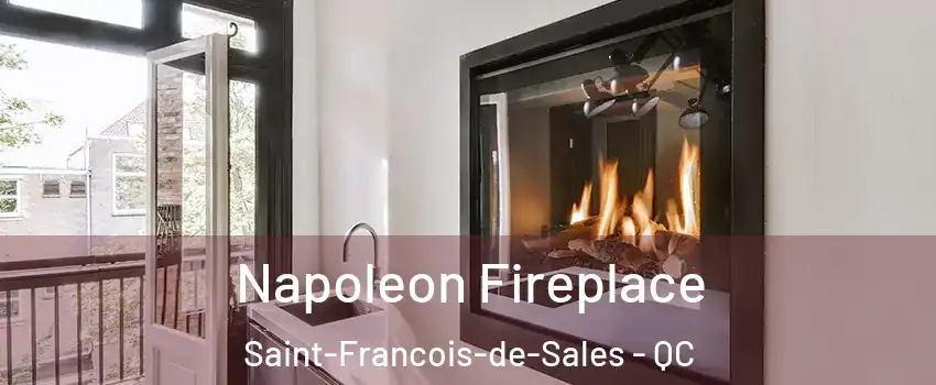  Napoleon Fireplace Saint-Francois-de-Sales - QC