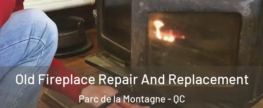  Old Fireplace Repair And Replacement Parc de la Montagne - QC