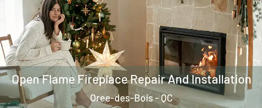  Open Flame Fireplace Repair And Installation Oree-des-Bois - QC
