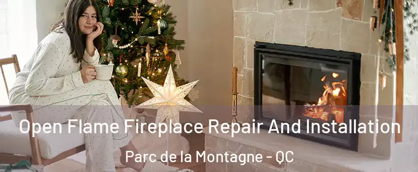  Open Flame Fireplace Repair And Installation Parc de la Montagne - QC