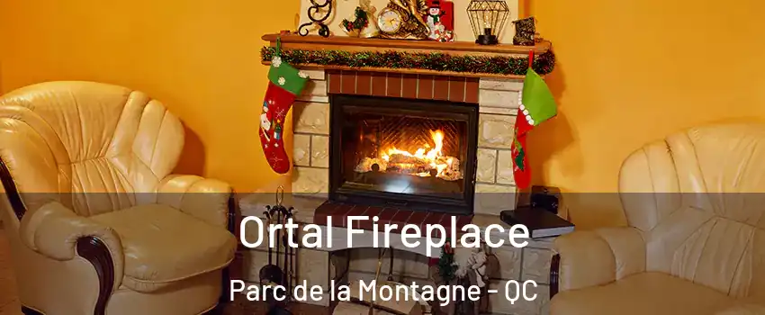 Ortal Fireplace Parc de la Montagne - QC