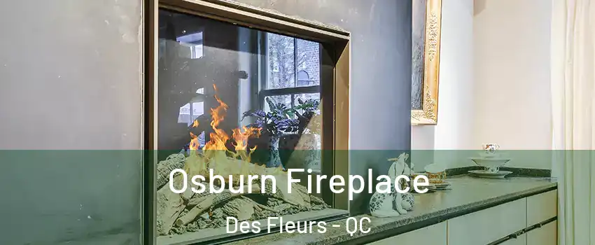  Osburn Fireplace Des Fleurs - QC