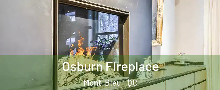  Osburn Fireplace Mont-Bleu - QC