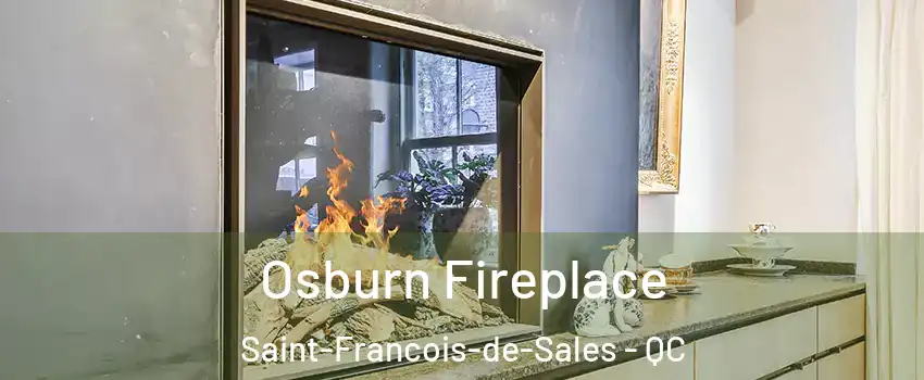  Osburn Fireplace Saint-Francois-de-Sales - QC