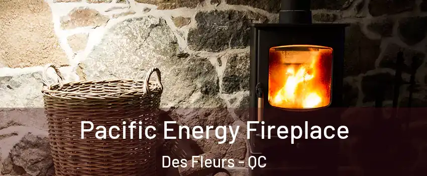  Pacific Energy Fireplace Des Fleurs - QC