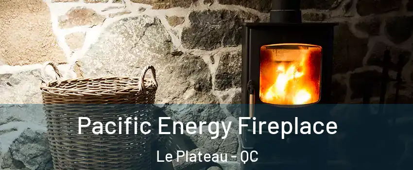  Pacific Energy Fireplace Le Plateau - QC