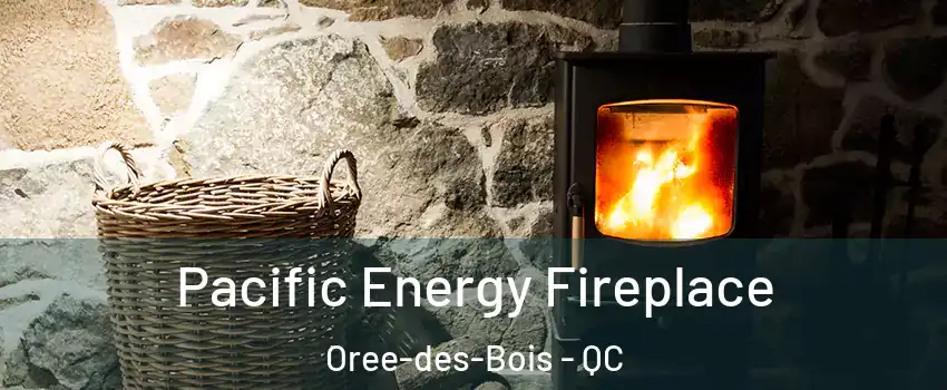  Pacific Energy Fireplace Oree-des-Bois - QC