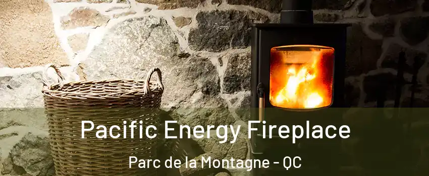  Pacific Energy Fireplace Parc de la Montagne - QC