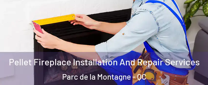  Pellet Fireplace Installation And Repair Services Parc de la Montagne - QC