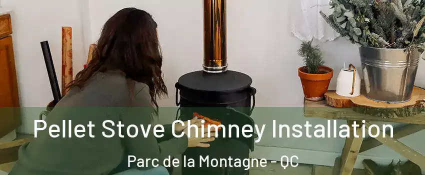  Pellet Stove Chimney Installation Parc de la Montagne - QC