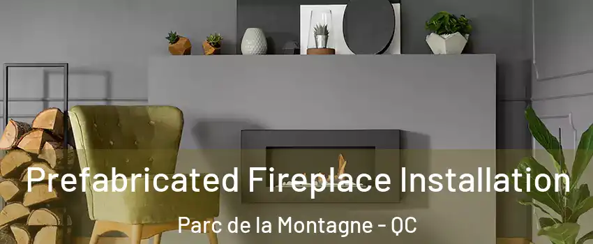  Prefabricated Fireplace Installation Parc de la Montagne - QC