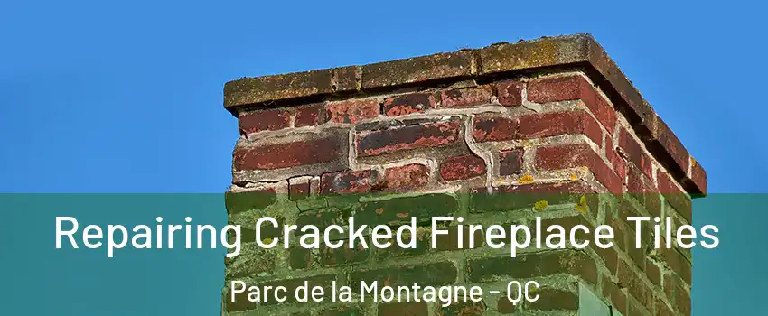  Repairing Cracked Fireplace Tiles Parc de la Montagne - QC