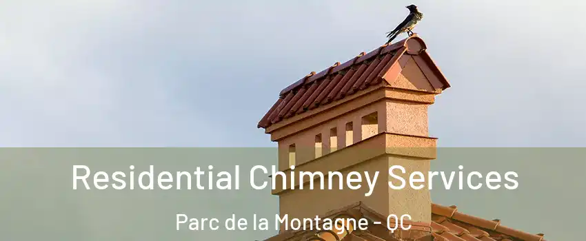  Residential Chimney Services Parc de la Montagne - QC