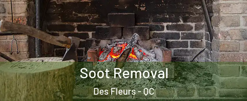  Soot Removal Des Fleurs - QC