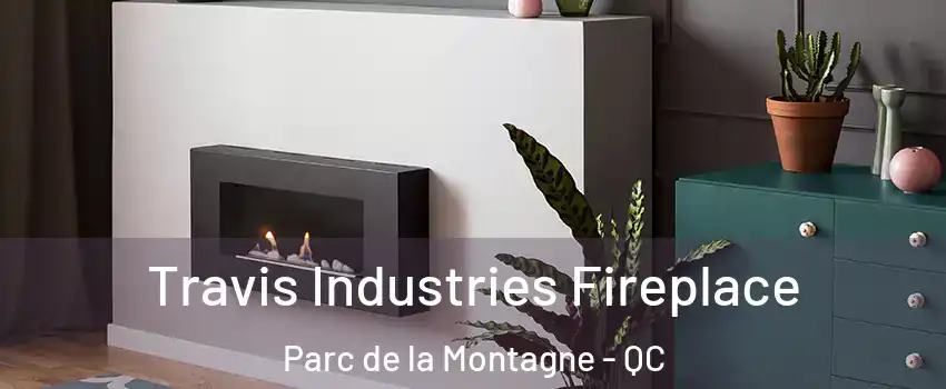 Travis Industries Fireplace Parc de la Montagne - QC
