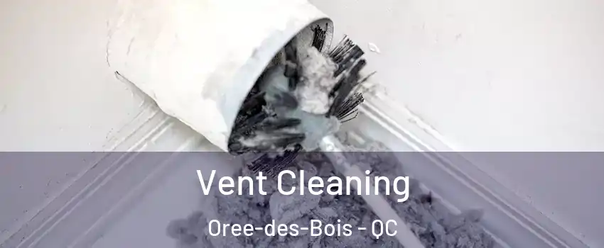  Vent Cleaning Oree-des-Bois - QC