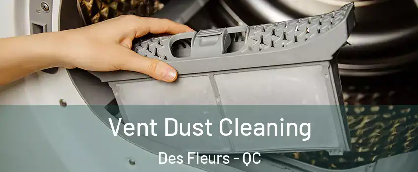  Vent Dust Cleaning Des Fleurs - QC