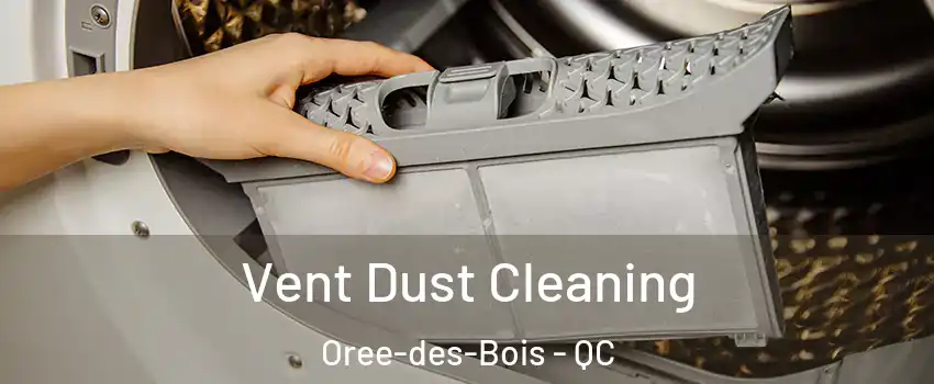  Vent Dust Cleaning Oree-des-Bois - QC