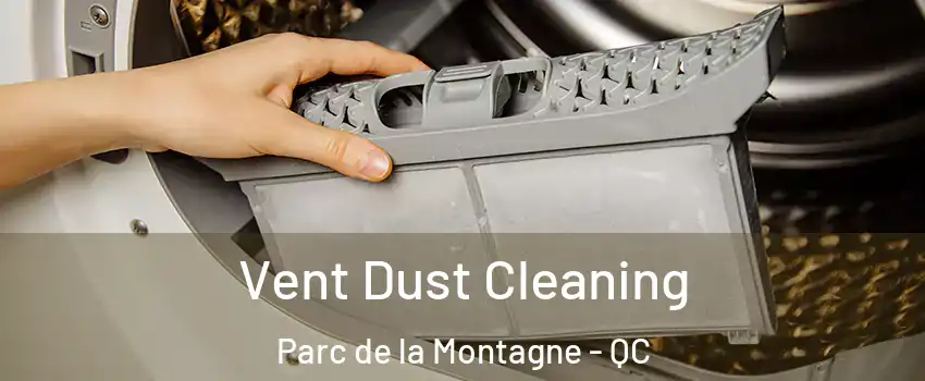  Vent Dust Cleaning Parc de la Montagne - QC