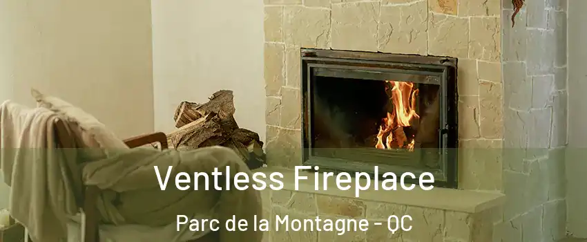  Ventless Fireplace Parc de la Montagne - QC