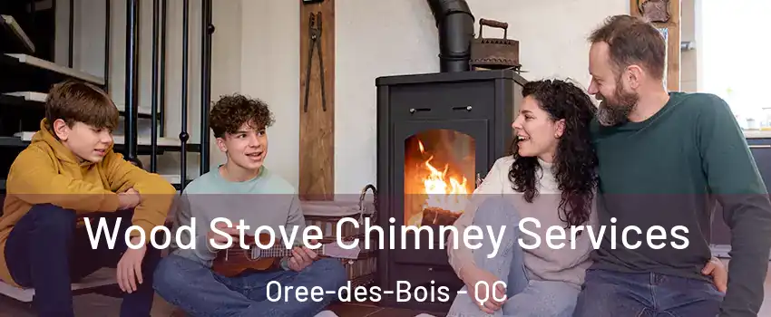  Wood Stove Chimney Services Oree-des-Bois - QC