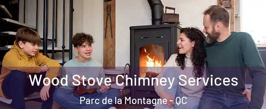 Wood Stove Chimney Services Parc de la Montagne - QC