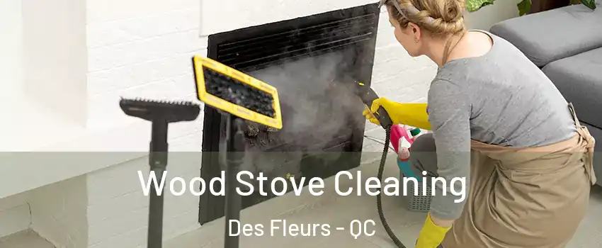  Wood Stove Cleaning Des Fleurs - QC