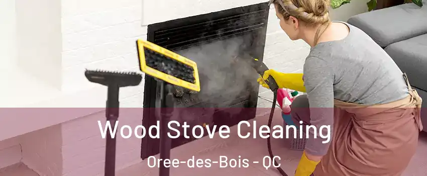  Wood Stove Cleaning Oree-des-Bois - QC