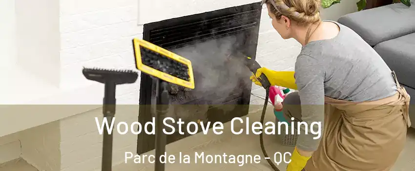  Wood Stove Cleaning Parc de la Montagne - QC