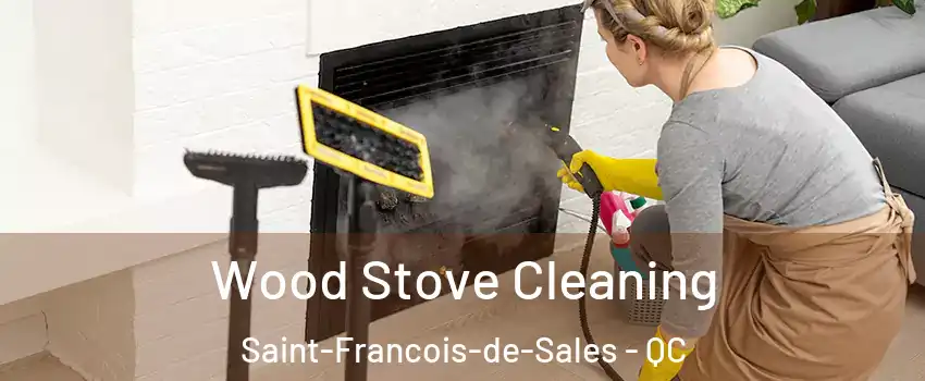  Wood Stove Cleaning Saint-Francois-de-Sales - QC