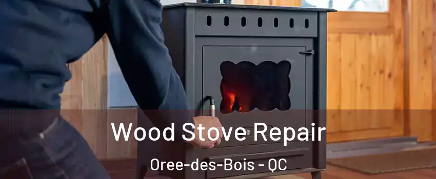  Wood Stove Repair Oree-des-Bois - QC
